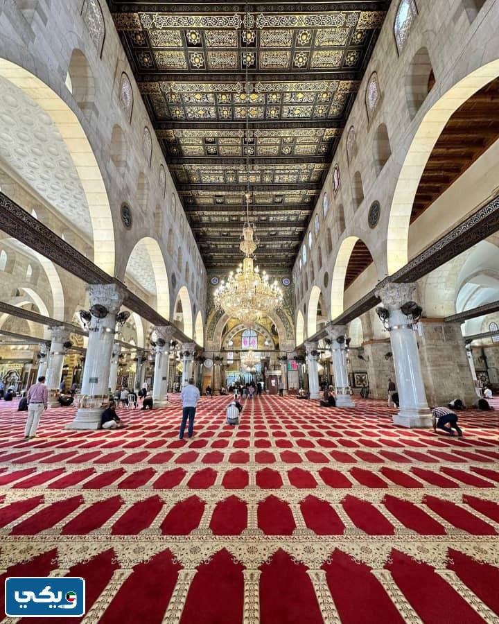 المسجد الأقصى الحقيقي بالصور