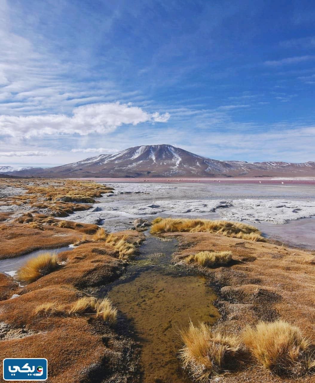 دولة بوليفيا بالصور