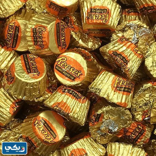 هل ريسز تدعم اسرائيل ام لا