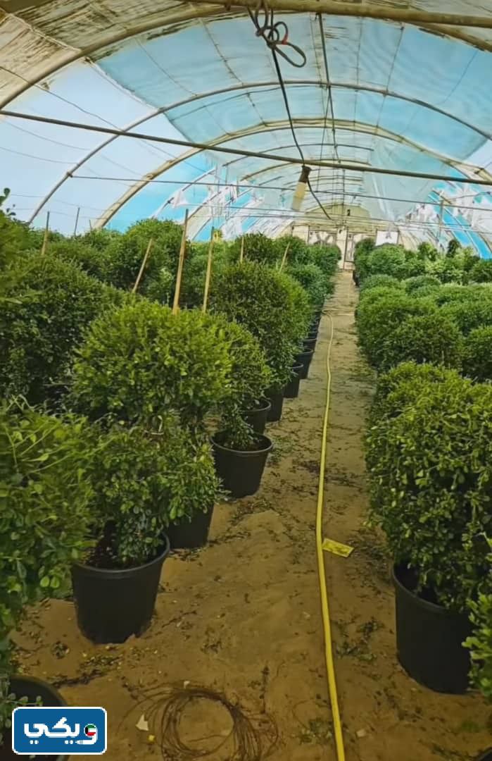 طرق التواصل مع مزرعة محمد سالم العبدالجادر