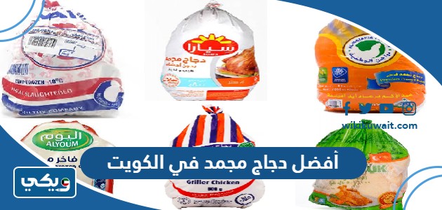 أفضل دجاج مجمد في الكويت