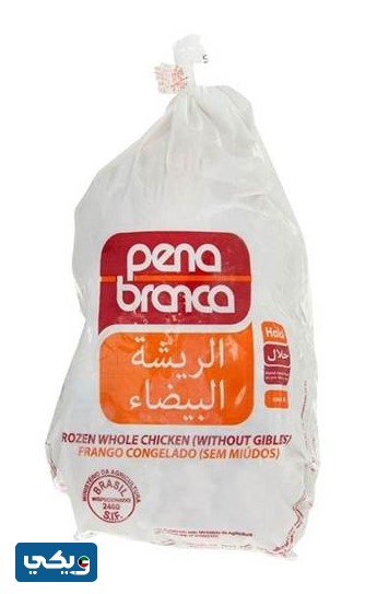 دجاج الريشة البيضاء