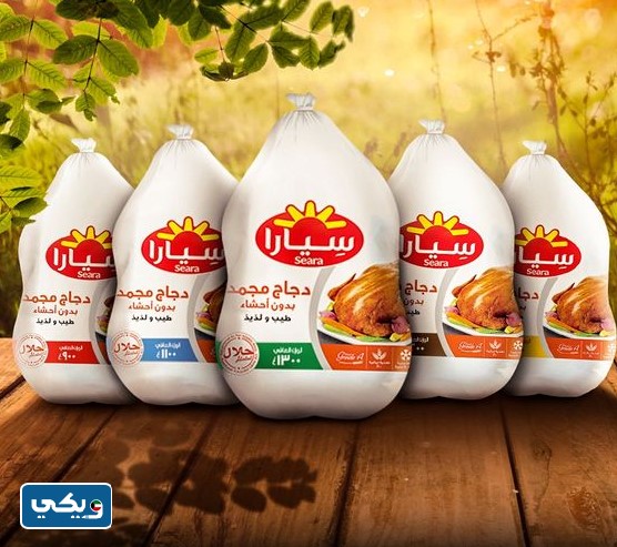 دجاج سيارا Seara