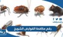 رقم مكافحة القوارض وزارة الصحة الشويخ وطرق التواصل