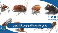 رقم مكافحة القوارض وزارة الصحة الشويخ وطرق التواصل رقم مكافحة القوارض وزارة الصحة الشويخ وطرق التواصل