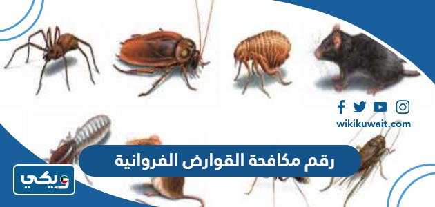رقم مكافحة القوارض الفروانية
