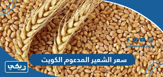 سعر الشعير المدعوم الكويت