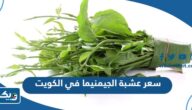 كم سعر عشبة الجيمنيما في الكويت 2025 كم سعر عشبة الجيمنيما في الكويت 2025