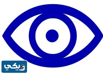 الدكتور عبدالله البغلي