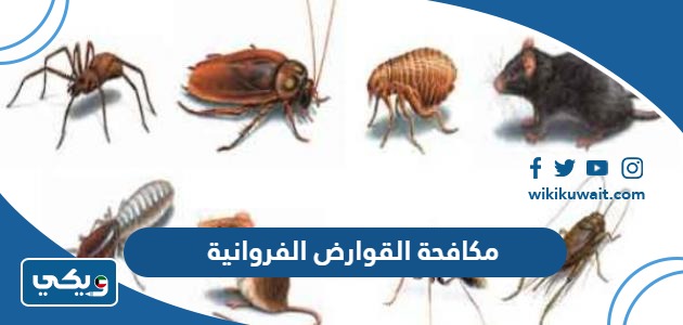 مكافحة القوارض الفروانية