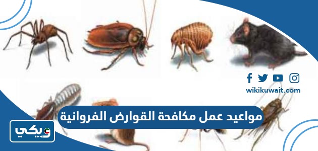 مواعيد عمل مكافحة القوارض الفروانية