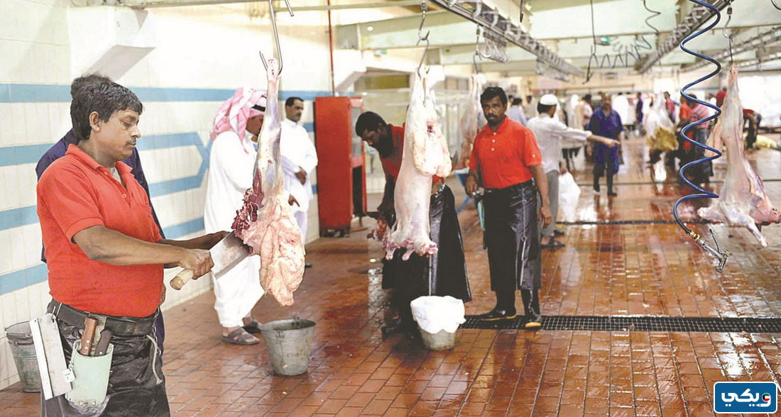 عنوان مسلخ الجهراء