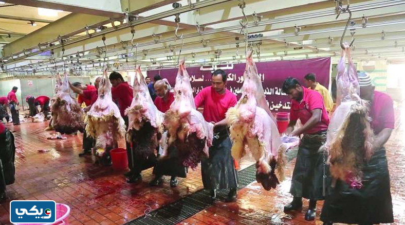 رقم مسلخ الجهراء