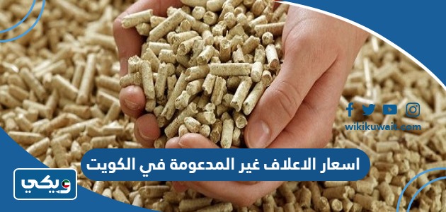 اسعار الاعلاف غير المدعومة في الكويت