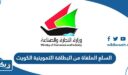 ما هي السلع الملغاة من البطاقة التموينية في الكويت 2025