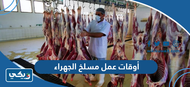 أوقات عمل مسلخ الجهراء