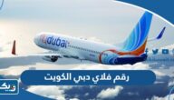 رقم فلاي دبي الكويت flydubai Kuwait للاستعلام والحجز وطرق التواصل رقم فلاي دبي الكويت flydubai Kuwait للاستعلام والحجز وطرق التواصل