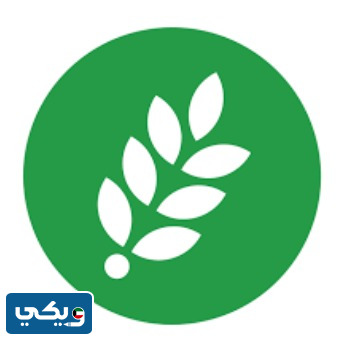 رقم جمعية العون المباشر واتساب للتواصل