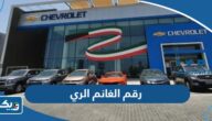 رقم وعنوان الكترونيات الغانم xcite فرع الري وطرق التواصل رقم وعنوان الكترونيات الغانم xcite فرع الري وطرق التواصل