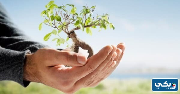 صور عن القيم الاخلاقيه في القران جاهزة للطباعة