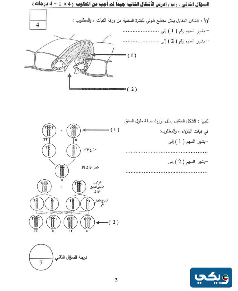 نموذج اجابة اختبار الأحياء للصف الحادي عشر 2023 - 2024 الكويت