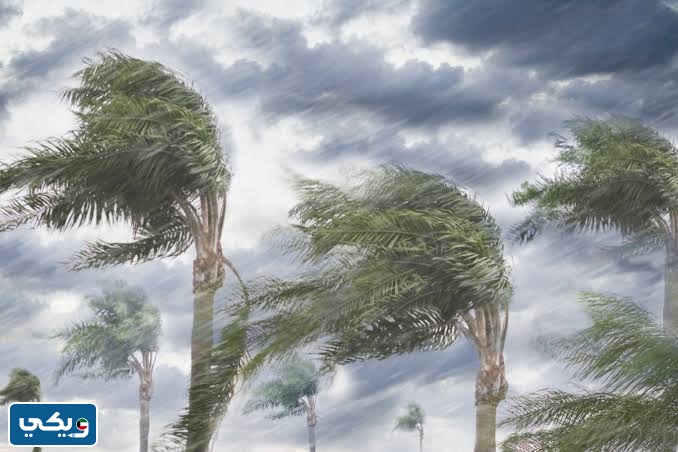 موسم الشبط في الكويت