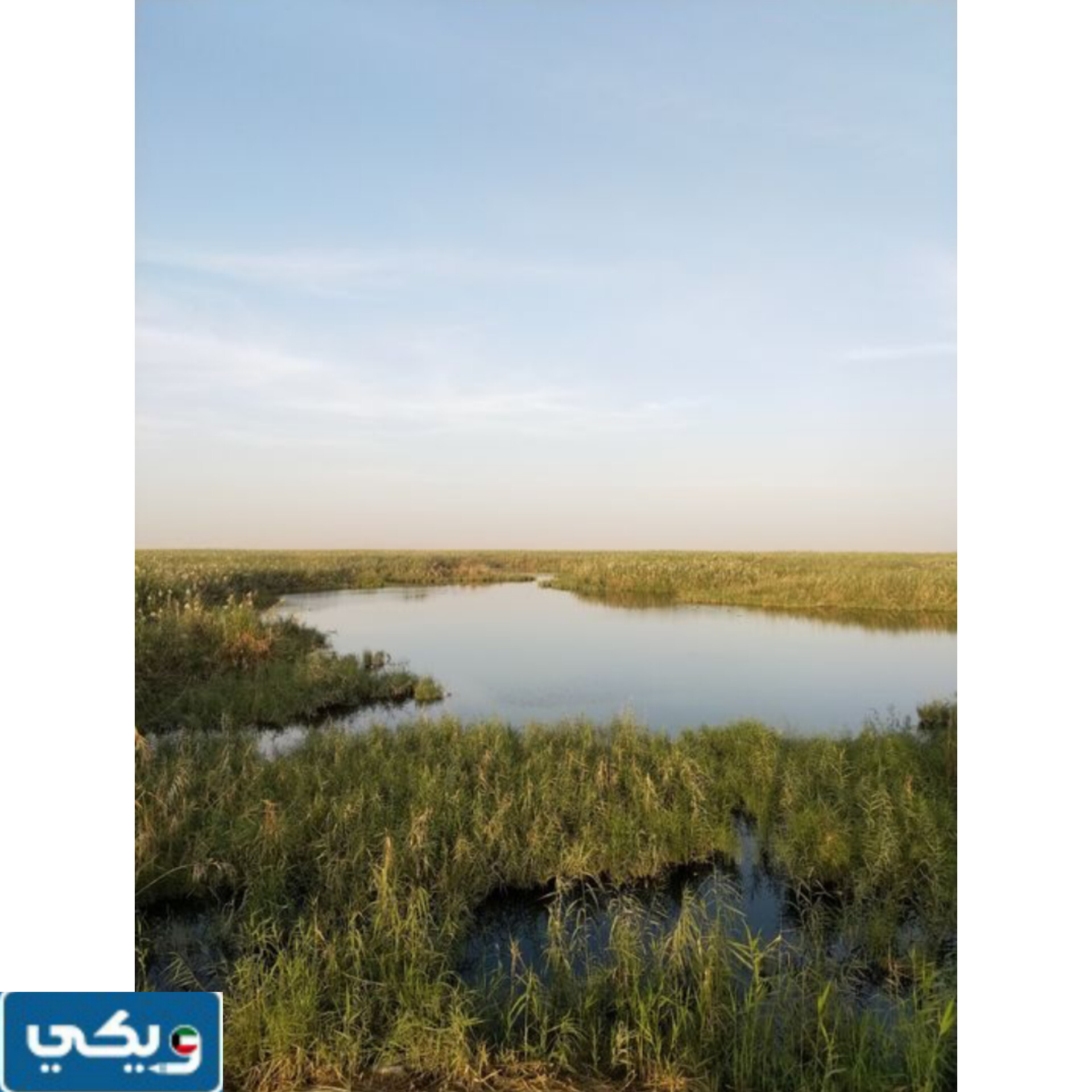 موقع محمية الجهراء الطبيعية على خرائط جوجل