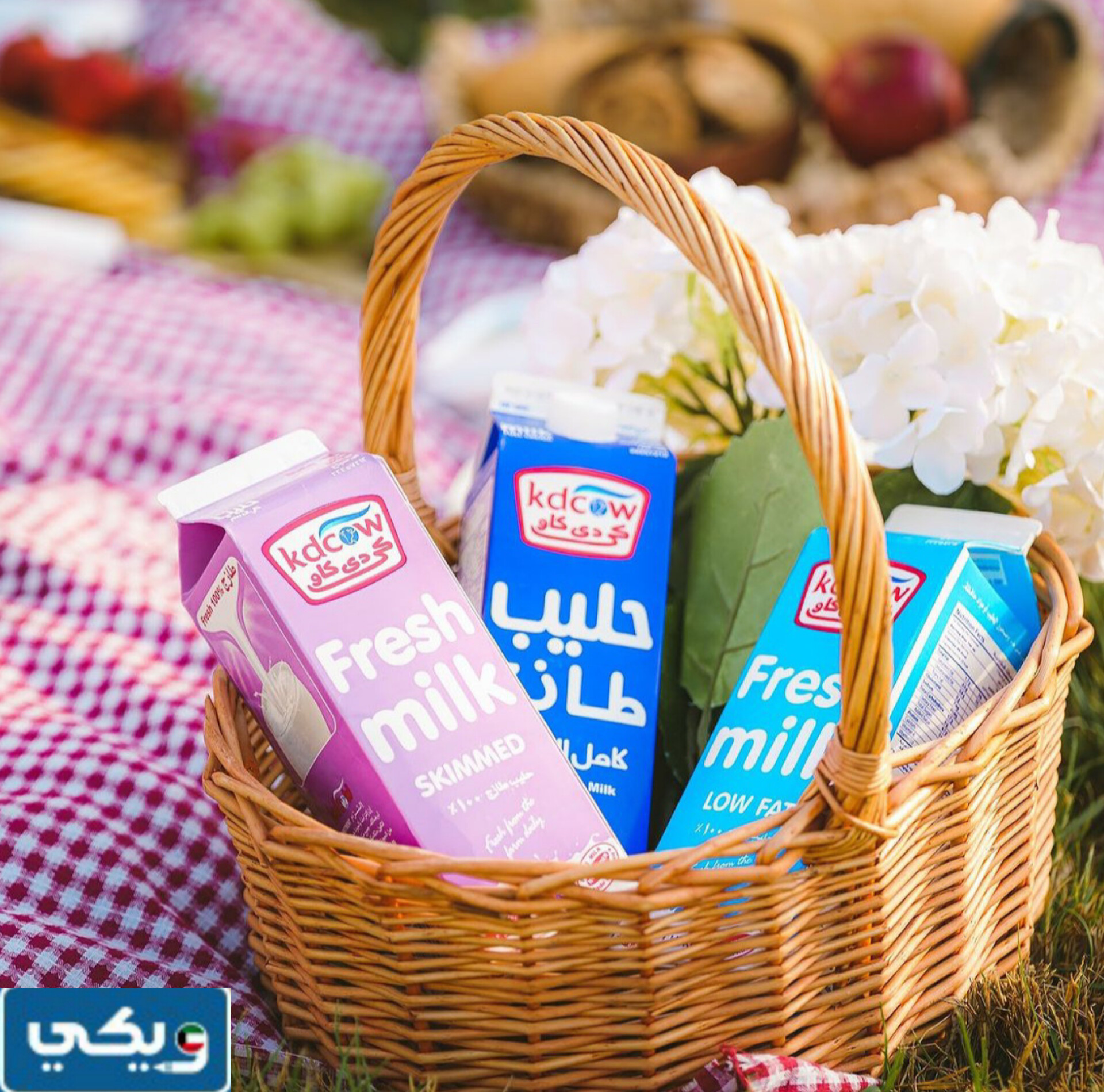 انستقرام شركة كي دي كاو الرسمي