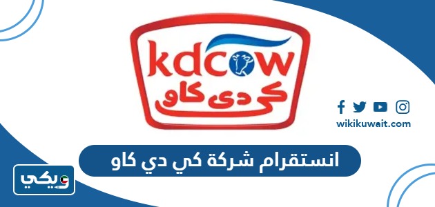 انستقرام شركة كي دي كاو