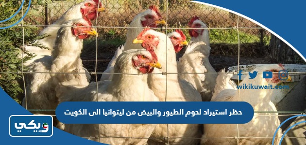 حظر استيراد لحوم الطيور والبيض من ليتوانيا الى الكويت