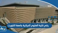 رقم كلية العلوم الحياتية في جامعة الكويت للاستفسار والتواصل رقم كلية العلوم الحياتية في جامعة الكويت للاستفسار والتواصل