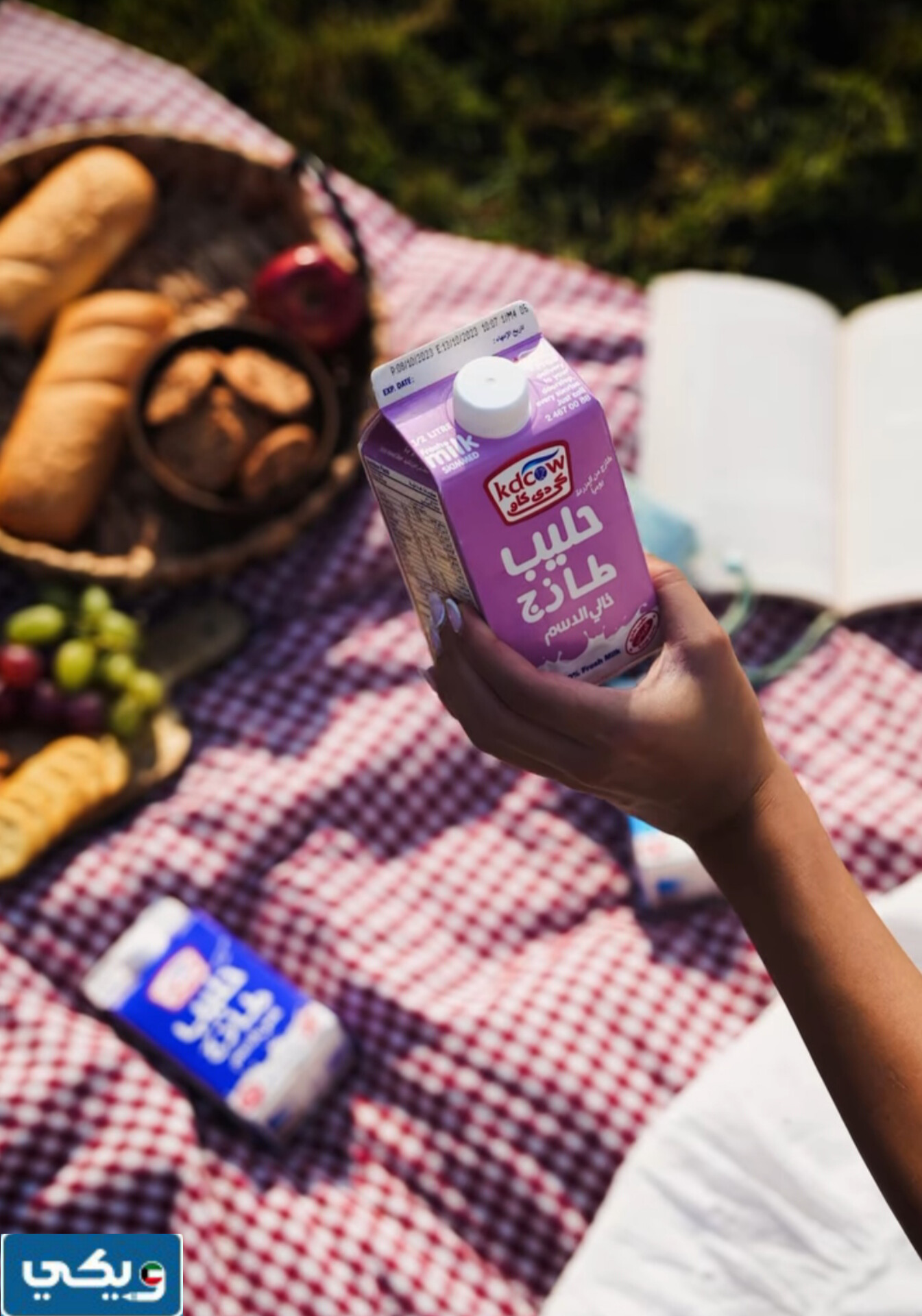 طرق التواصل مع شركة كي دي كاو