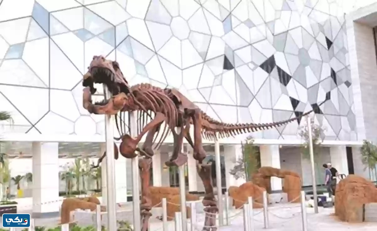 عنوان متحف عبدالله السالم