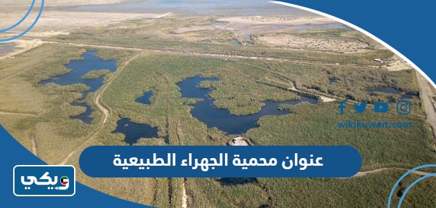 عنوان محمية الجهراء الطبيعية
