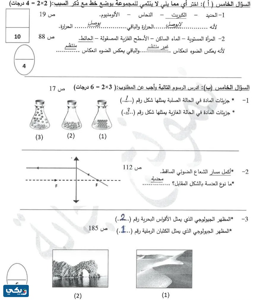 نموذج اختبار فاينل علوم الصف الثامن الفصل الاول حولي