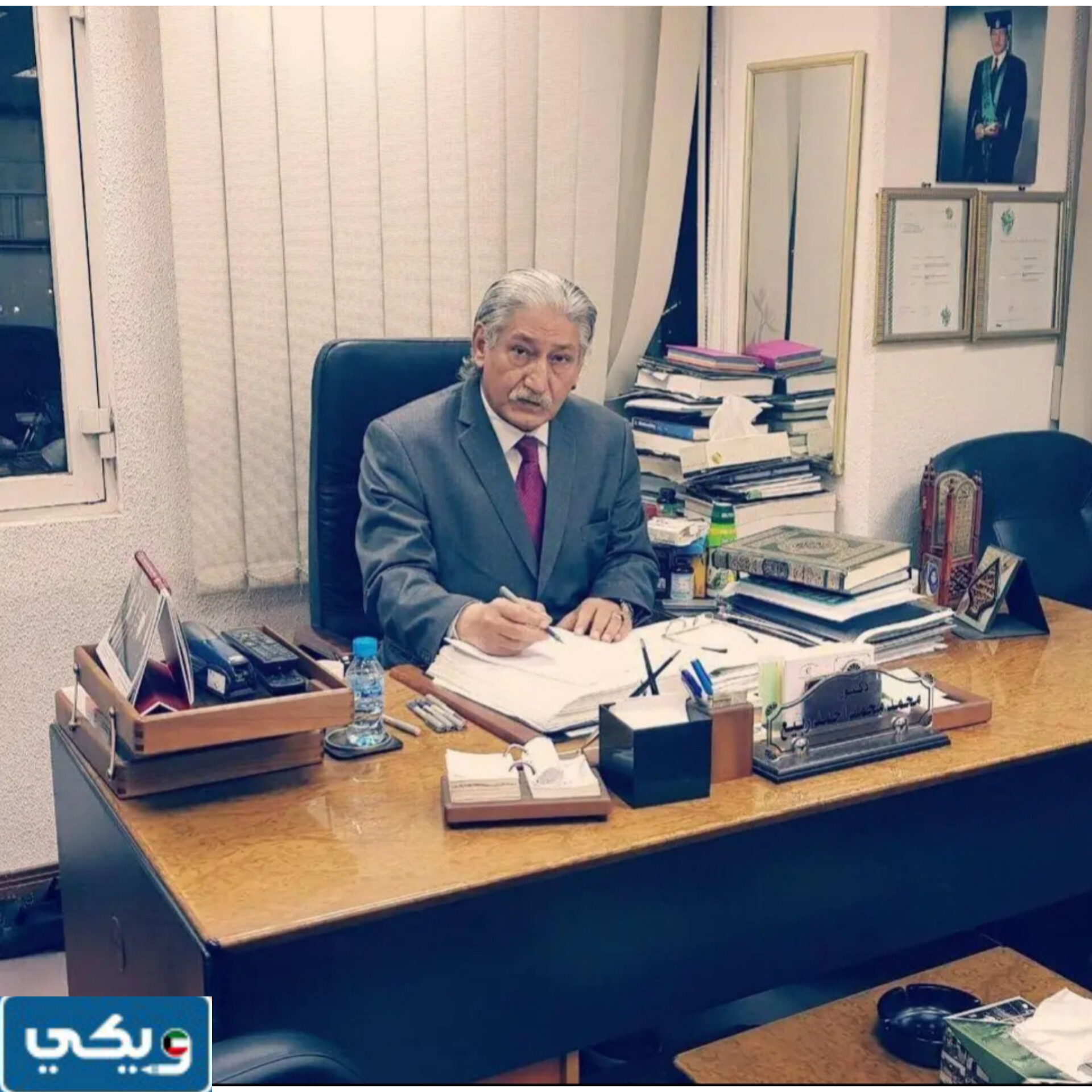 الدكتور محمد ربيع