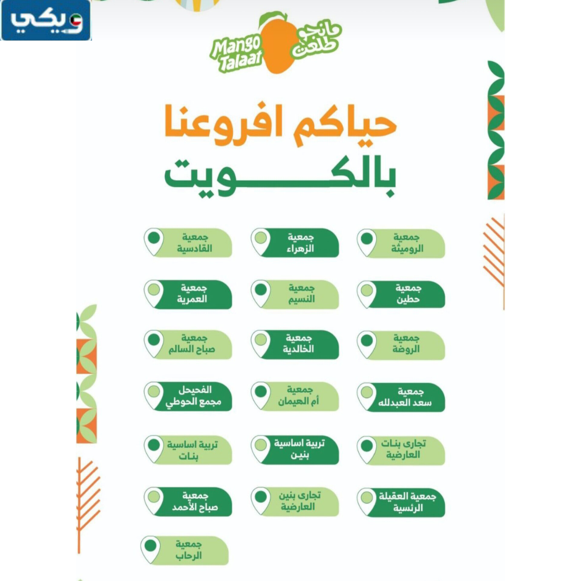 كم عدد فروع مانجو طلعت في الكويت 2024
