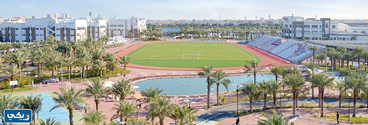 ما سبب تسمية الفنطاس