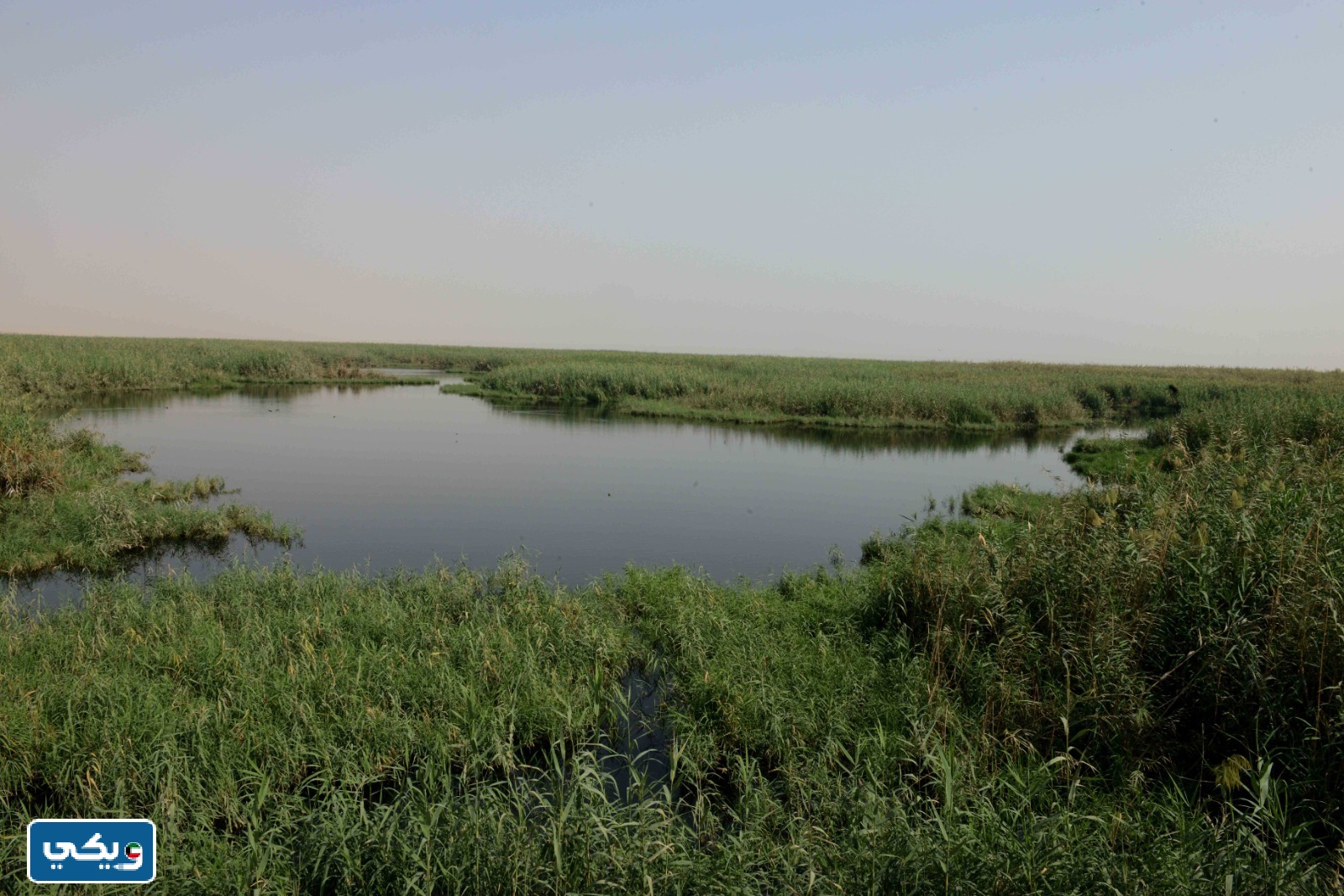 متى تم افتتاح محمية الجهراء الطبيعية