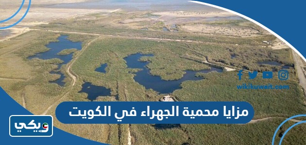 مزايا محمية الجهراء في الكويت