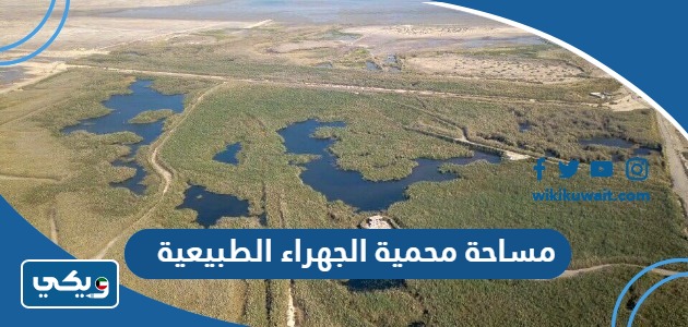 مساحة محمية الجهراء الطبيعية