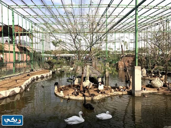 مساحة محمية باب دكالة