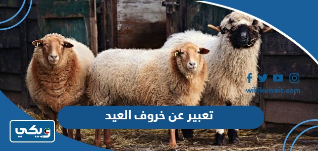تعبير عن خروف العيد