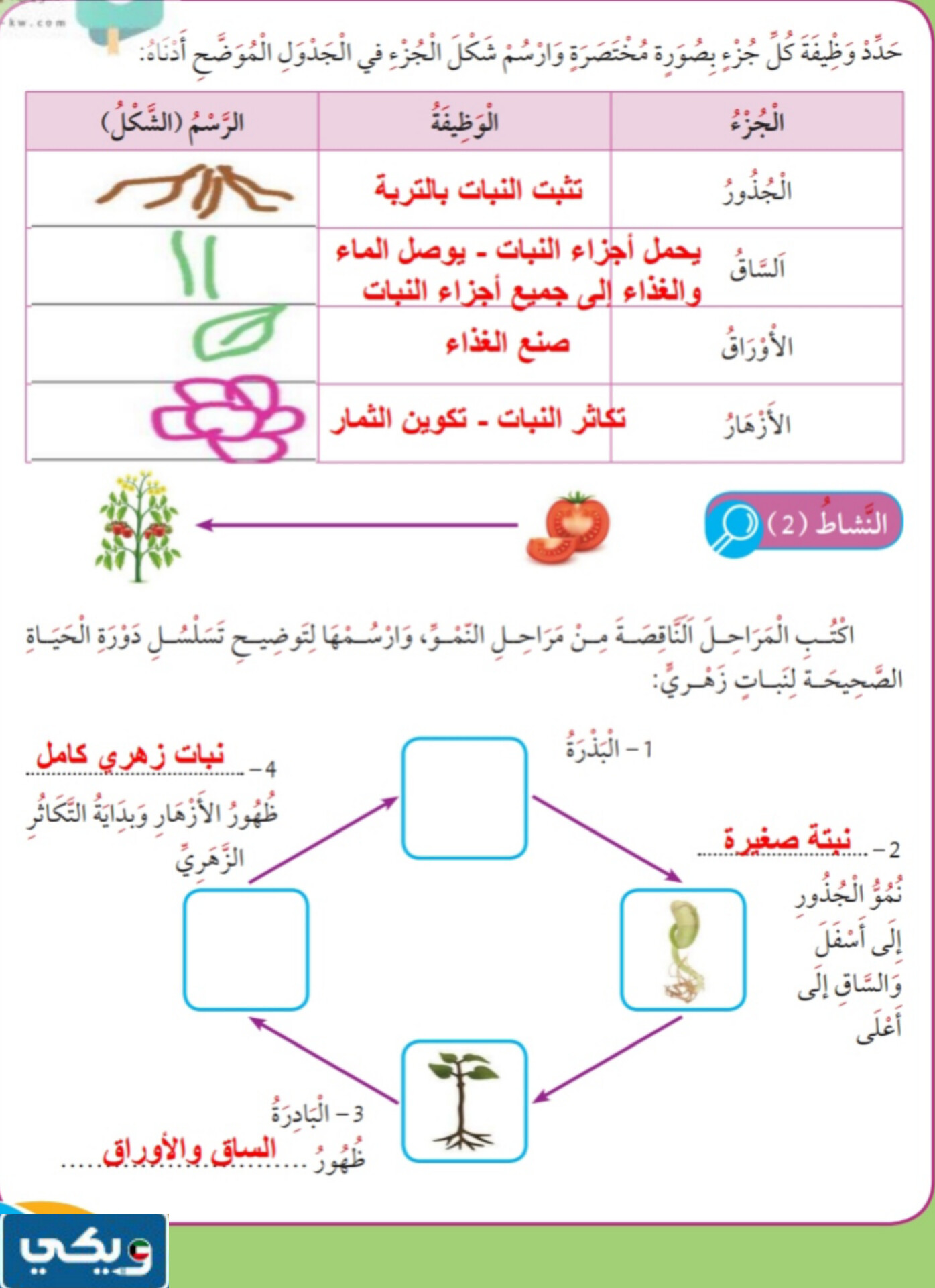 حل كتاب العلوم للصف الرابع المنهاج الجديد