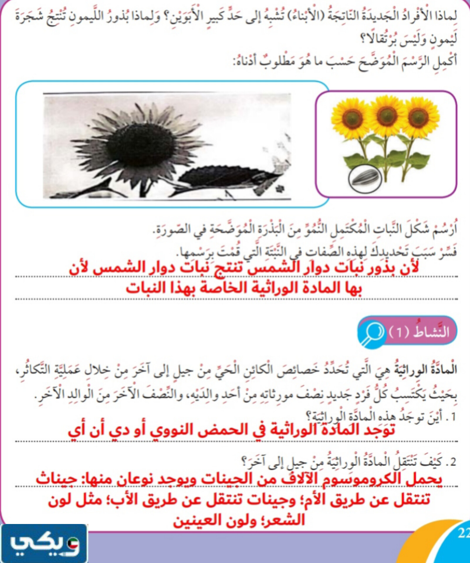 حل كتاب العلوم للصف الرابع المنهاج الجديد