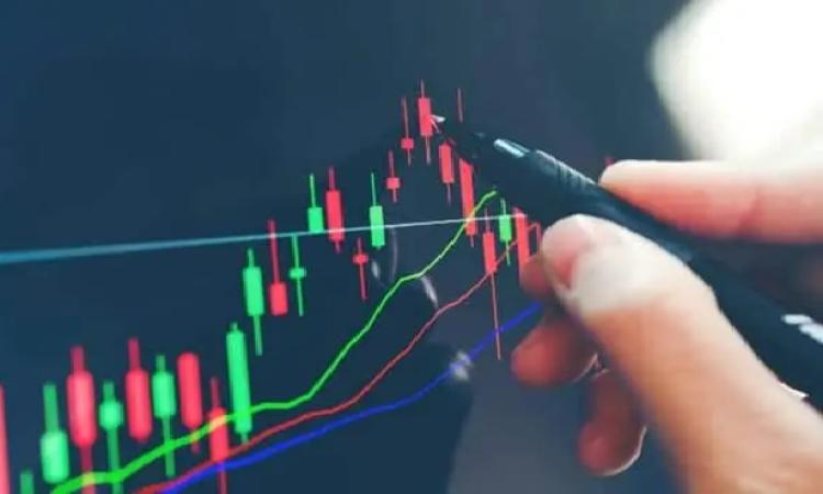 كيف تختار الأفضل لاحتياجاتك